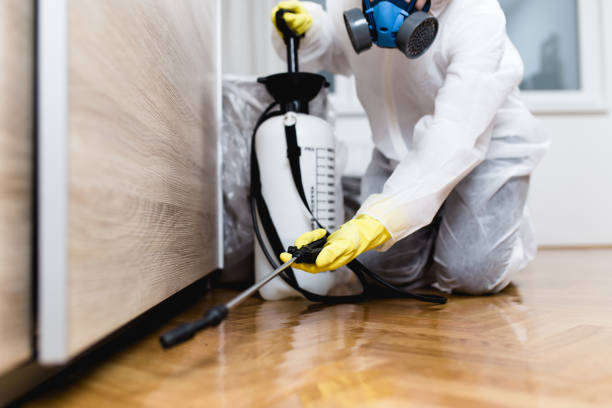 Best Affordable Pest Control Services  in Marietta, OK