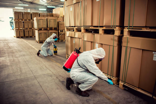 Best Mosquito Control Services  in Marietta, OK