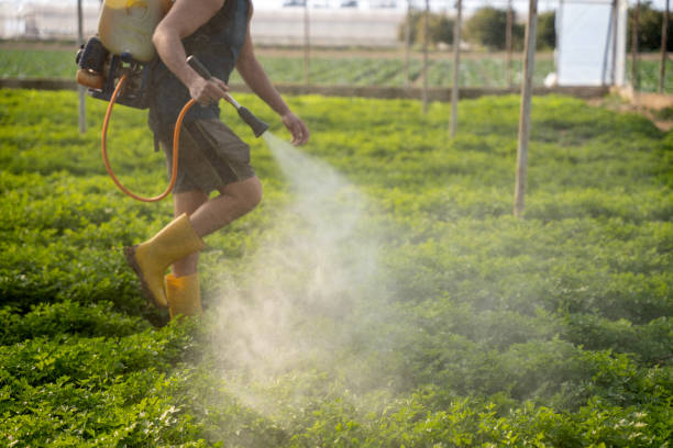 Best Pest Removal Services  in Marietta, OK