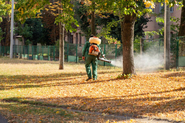 Best Commercial Pest Control Services  in Marietta, OK